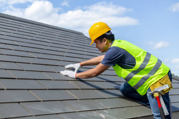 Professional Roofing Contractor in Wyandotte, MI