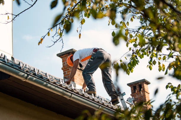 Best Heating Cable for Roof Installation  in Wyandotte, MI