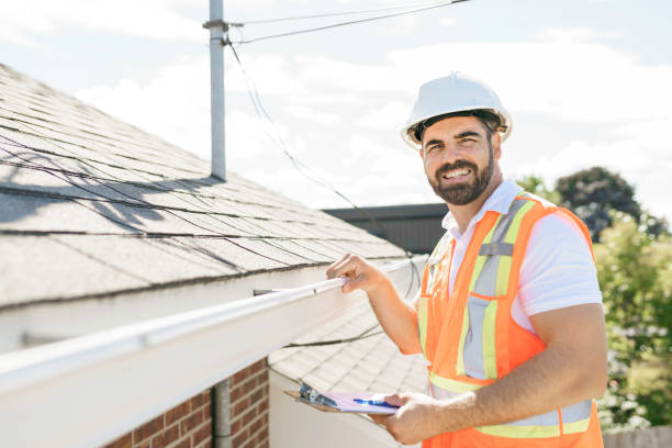 Best Sealant for Roof  in Wyandotte, MI