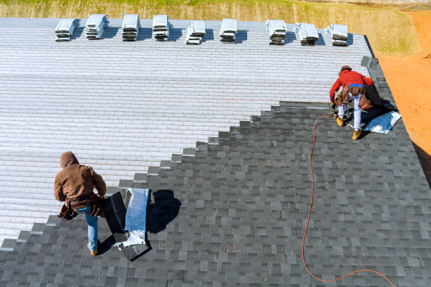 Best Residential Roofing Contractor  in Wyandotte, MI