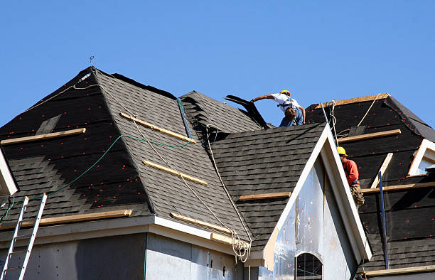 Best Roof Repair Services  in Wyandotte, MI
