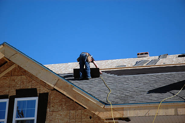 Best Storm Damage Roof Repair  in Wyandotte, MI
