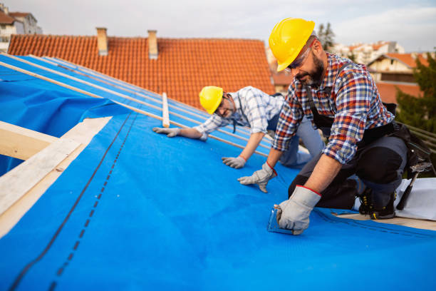 Residential Roof Replacement in Wyandotte, MI
