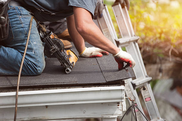 Best Residential Roofing Contractor  in Wyandotte, MI