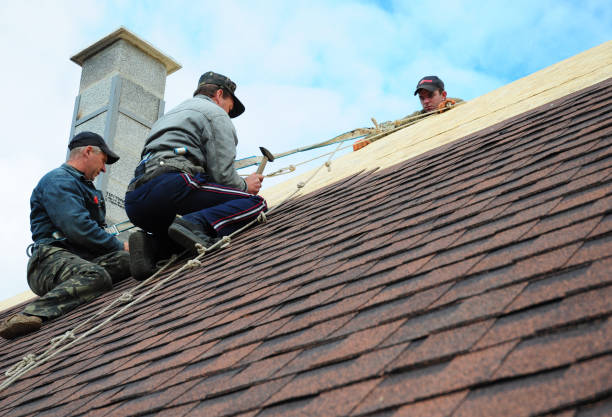 Best Affordable Roofing Company  in Wyandotte, MI