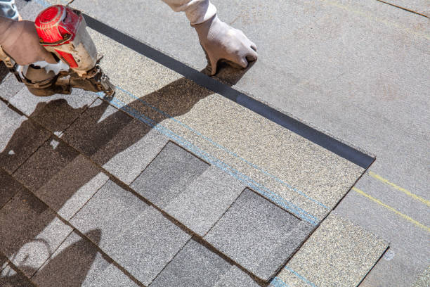 Best Roof Inspection Near Me  in Wyandotte, MI