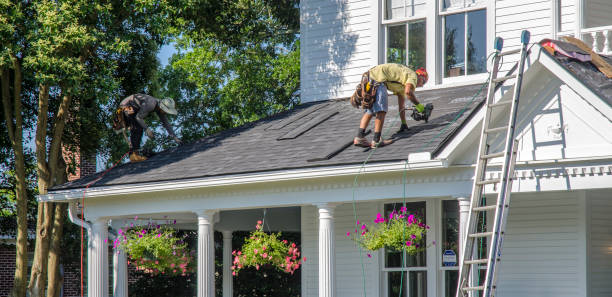 Best Roofing Contractor Near Me  in Wyandotte, MI