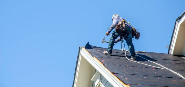 Best New Roof Installation  in Wyandotte, MI